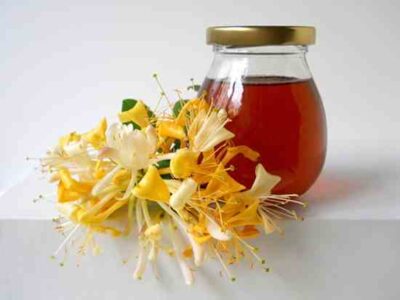 Honeysuckle Syrup Recipe Image